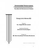 Ensayo NOM- 022