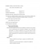 Innovación en albañilería: Ladrillos de concreto ligero con piedra pómez