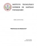 Protocolo de producto