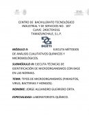 TIPOS DE MICROORGANISMOS (PARASITOS, VIRUS, BACTERIAS Y HONGOS)
