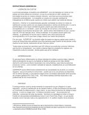 ESTRATEGIAS GENERICAS AÑAÑOS