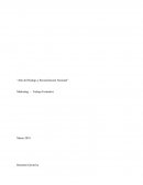 Resumen Ejecutivo Empresa Ecológicamente responsable