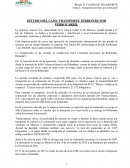 ESTUDIO DEL CASO: TRANSPORTE TERRESTRE POR FERROCARRIL