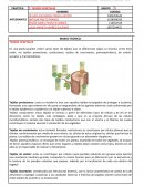 TEJIDOS VEGETALES