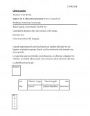 MOVIMIENTO RECTILINEO UNIFERME