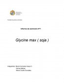 Informe de seminario N°1