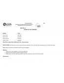 Automatización de Procesos administrativos 2