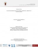 ANALISIS MICROBIOLOGICO DE EQUIPOS, SUPERFICIES, AMBIENTES Y MANIPULADORES