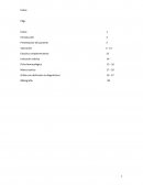 Proceso de atencion de enfermeria PAE