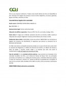 Análisis empresarial ccu