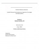 Unidad Profesional Interdisciplinaria en Ingeniería y Tecnologías Avanzadas (UPIITA)