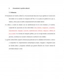 Lineamiento 6: gestión cultural