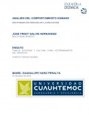 Ensayo factores determinantes del comportamiento humano