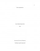 Transporte Ensayo argumentativo