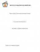 Página web Para Verificación de Información Vehicular