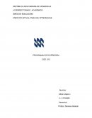 Ensayo Programas de Experesiòn en Educaciòn Especial