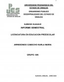 ORGANISMO PUBLICO DESENTRALIZADO DEL ESTADO DE SINALOA