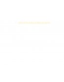 APPLE, CHEESE, PAN AND MORTADELLA SANDWICH