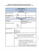 FORMATO PARA ELABORAR EL ESCRITO FINAL DE PARTICIPACION ESTUDIANTIL DE LA UNIDAD DEL MILENIO PARA EL AÑO LECTIVO 2017 - 2018