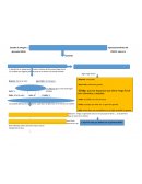 Estudio de imagen y reposicionamiento del gimnasio MEGA FORCE- metro la hacienda