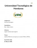 ANALISIS FODA DE SUS PRODUCTOS