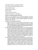 Anatomía y fisiología del aparato respiratorio