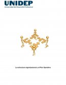 LA ESTRUCUTURA ORGANIZACIONAL Y EL PLAN OPERATIVO