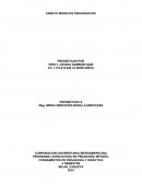 ENSAYO MODELOS PEDAGOGICOS