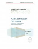 PLANTA DE MOLIENDA “DEL CARMEN”