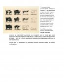 El toro de Picasso