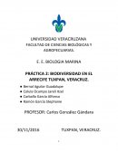 Diversidad en el arrecife Tuxpan, Veracruz
