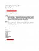 Ejemplo de una BALANZA DE COMPROBACIÓN (pasteleria)