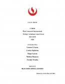 Plan Comercial Internacional. Trabajo Arándanos rojos frescos