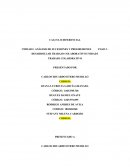 ANÁLISIS DE SUCESIONES Y PROGRESIONES