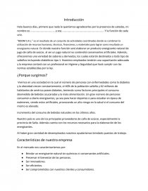 Proyecto “BOOM S.R.L.”. Página 1