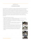 Con la globalización y la modernización