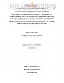 CONSTRUYAMOS LAS BASES DE NUESTRO PROYECTO