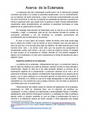 Ensayo Eutanasia
