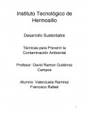 Técnicas para Prevenir la Contaminación Ambiental