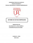 INFORME DE EMPRESARIO