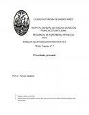 TEMA: Capitulo N° 7 El cuidado prenatal
