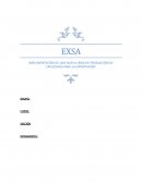 IMPLEMENTACIÓN DE UNA NUEVA LÍNEA DE PRODUCCIÓN DE EXPLOSIVOS PARA LA EXPORTACIÓN