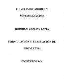 FLUJO, INDICADORES Y SENSIBILIZACIÓN