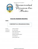 Cibernetica organizacional TEORIA DE SISTEMAS