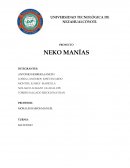 PLAN DE NEGOCIOS PROYECTO