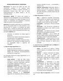 RIESGOS BIOMECANICOS Y ERGONOMIA