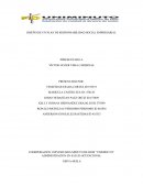 DISEÑO DE UN PLAN DE RESPONSABILIDAD SOCIAL EMPRESARIAL