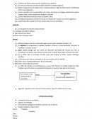 Resumen literatura universal