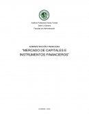 Mercado de capitales e instrumentos financieros