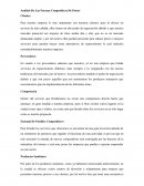 Análisis De Las Fuerzas Competitivas De Porter. Clientes